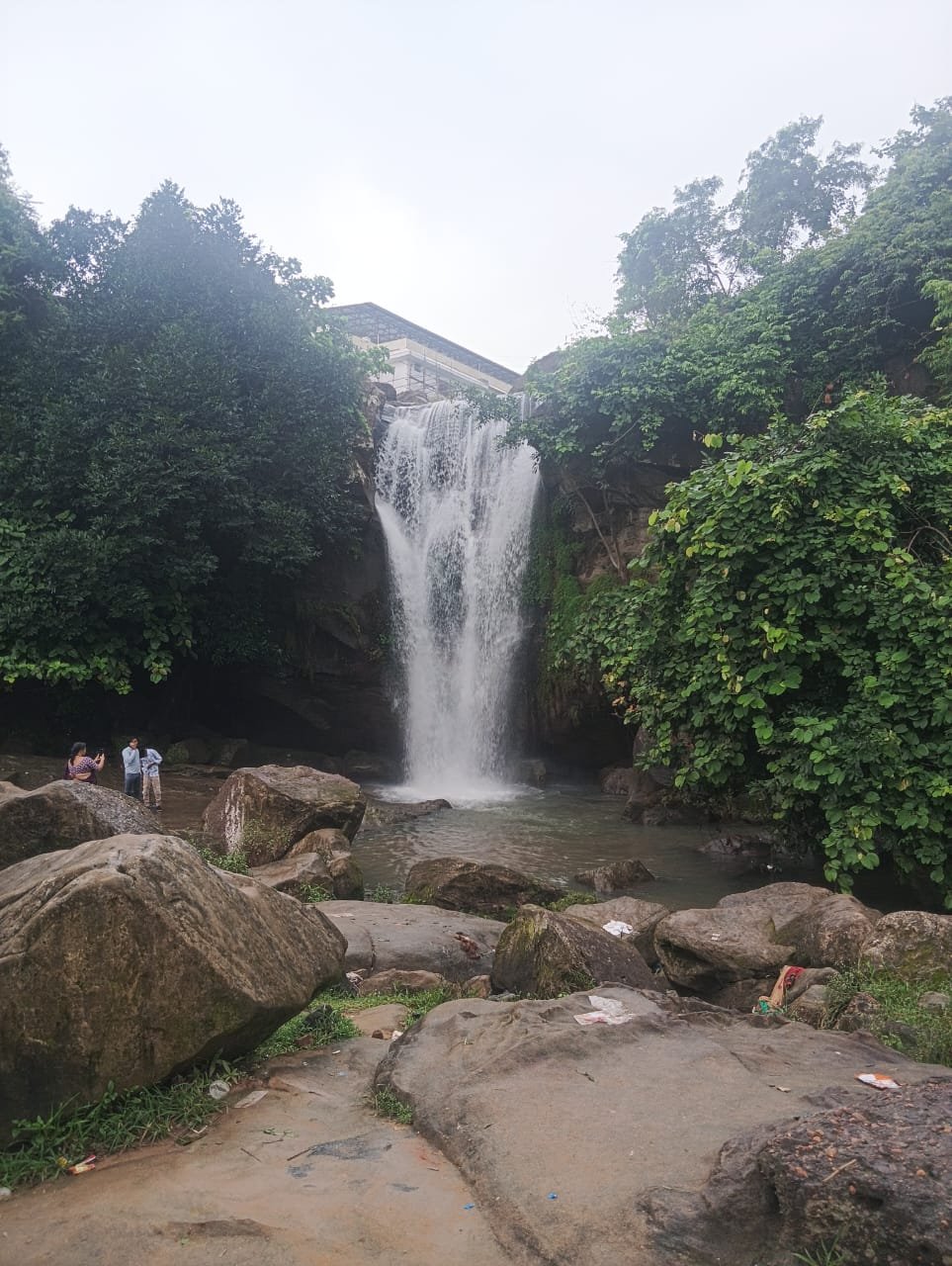 Dalma Wildlife Sanctuary Elephant Habitat