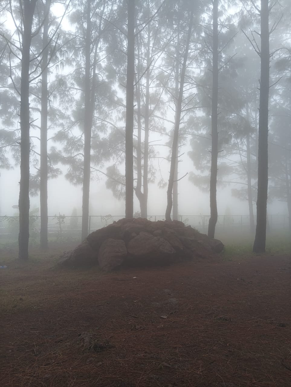 Netarhat Hill Station Queen of Chotanagpur
